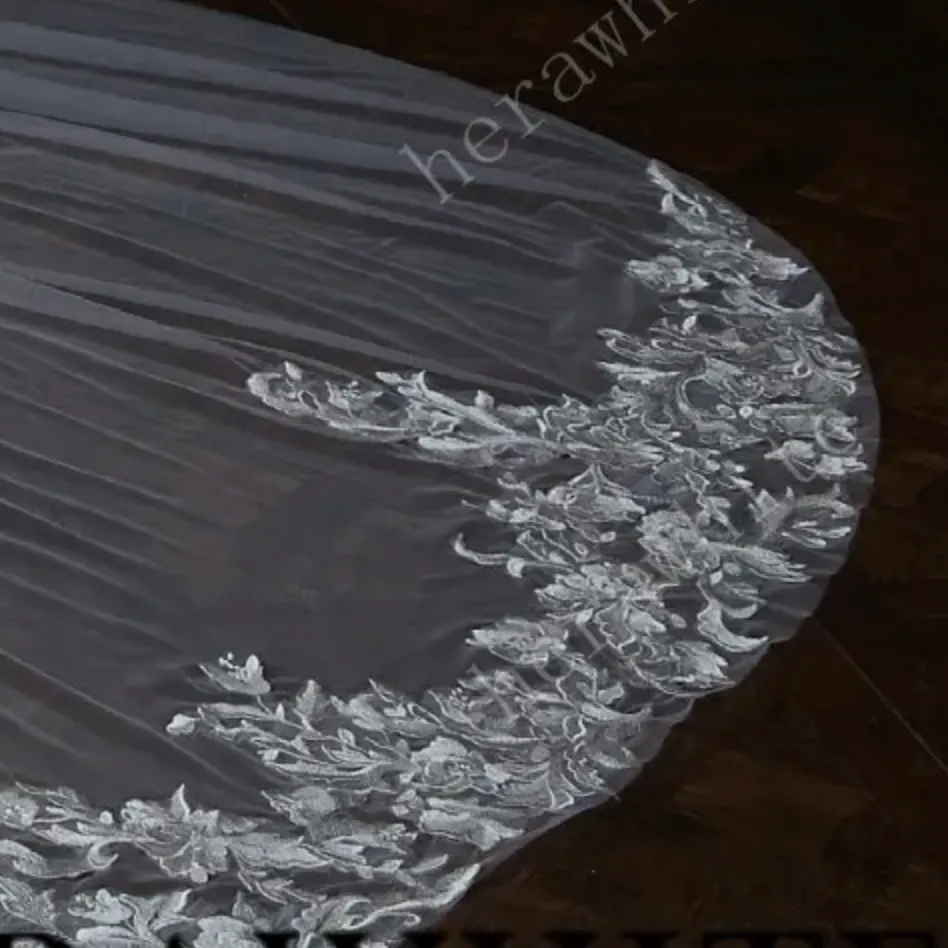 Elegant Lace Cathedral Length Bridal Veil