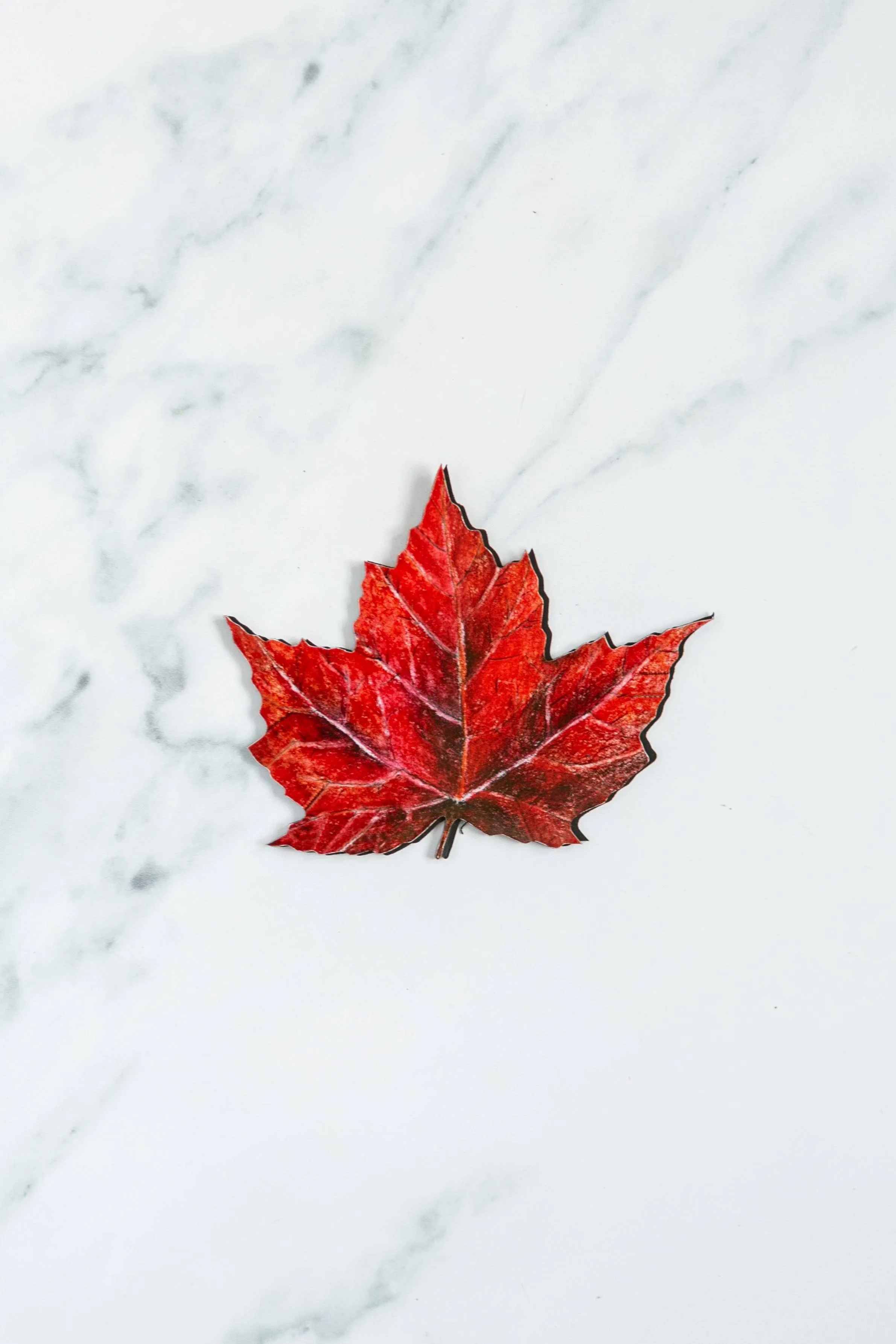 Maple Leaf Screen Door Saver Magnets (5" x 4")