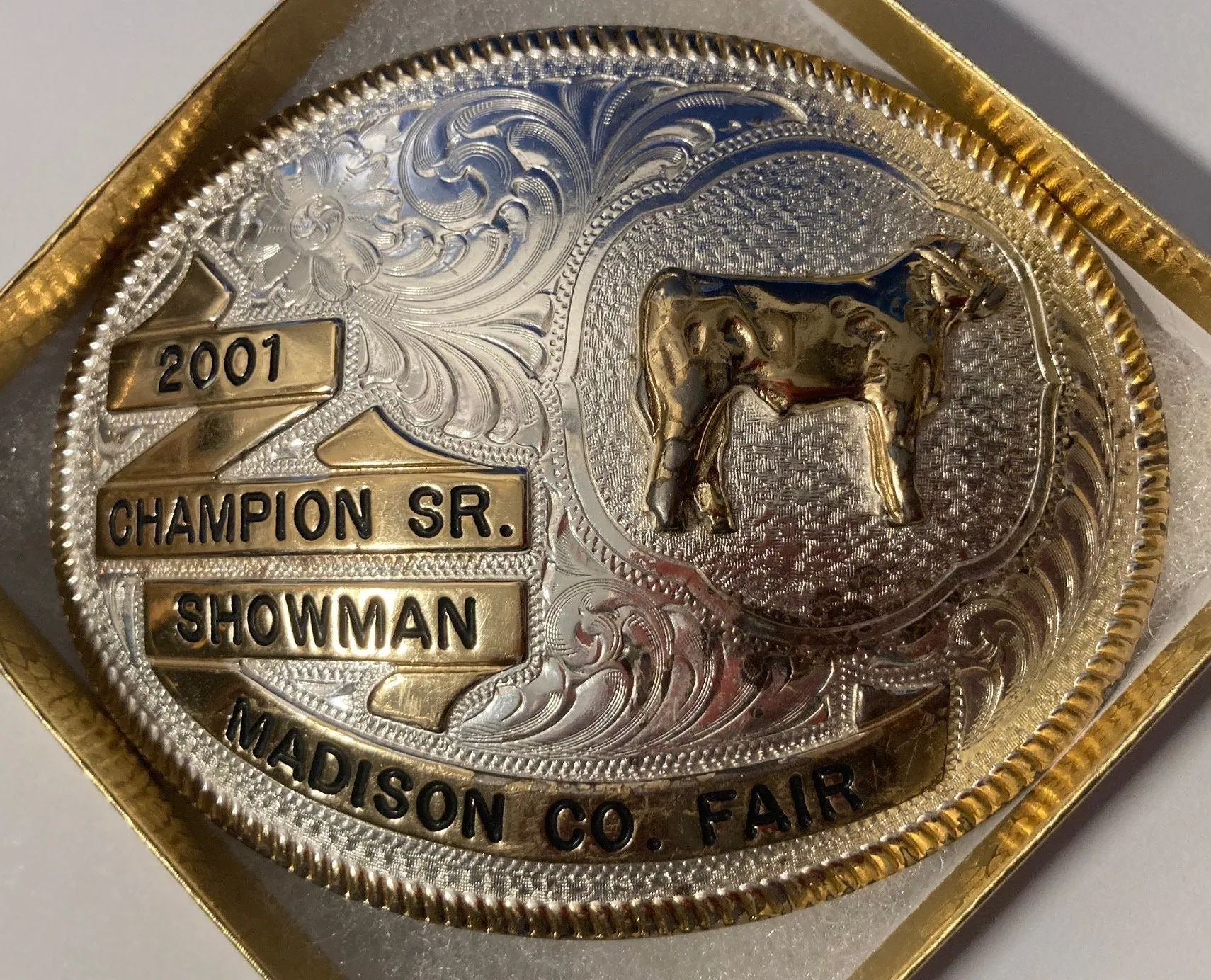 Vintage 2001 Metal Belt Buckle, Silver and Brass, Montana Silversmiths, Champion Sr. Showman, Senior, Madison County Fair, Ohio, Cow